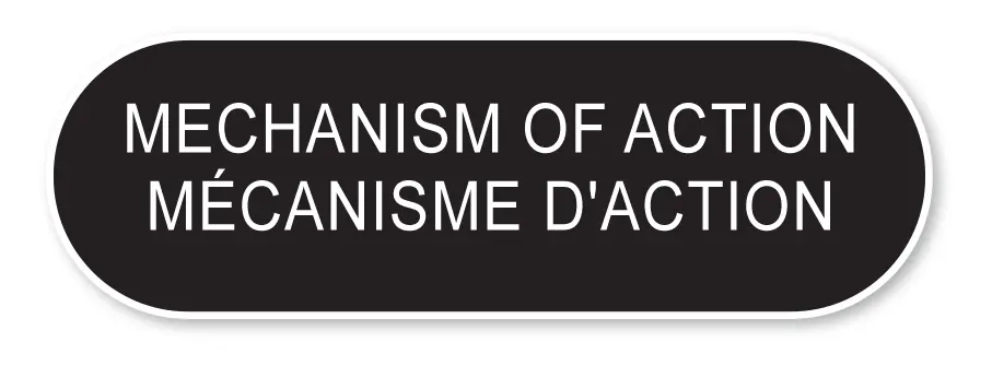 Testotitan mechanism of action